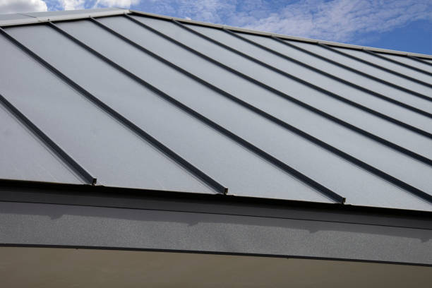 Reliable Deltana, AK Roofing service Solutions